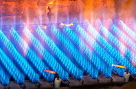 Walwick gas fired boilers